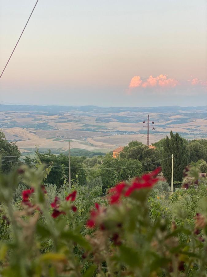 Podere Belsogno Montalcino Exteriör bild